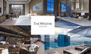 Singapore Grand Prix Hotel