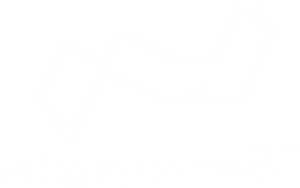 singapore grand prix